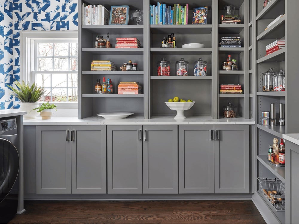 Back Kitchen in Home Renovation Added Pantry for Storage in DC Remodel